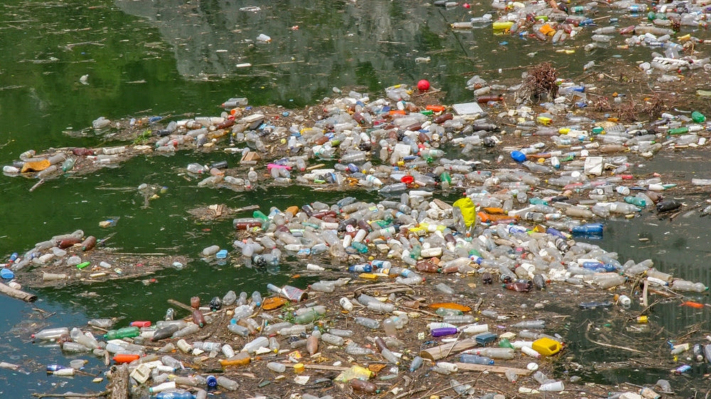 River pollution in the UK