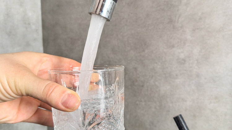 Home drinking water filters eliminate bacteria and viruses