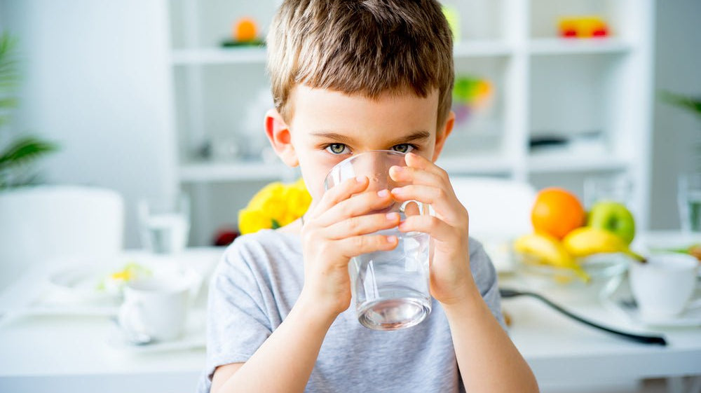 Water Softeners And Water Filters - Pure Choice