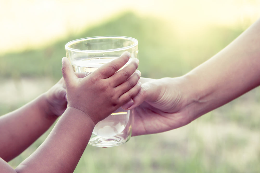 A home drinking water filter will help you save money and the planet.