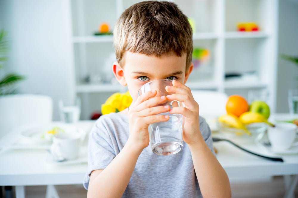 Water Softeners And Water Filters - Pure Choice